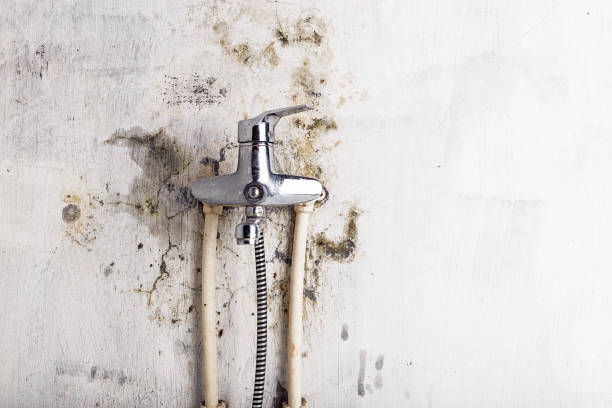 Best Water Damage Restoration  in Drew, MS