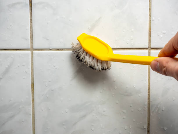 Professional Mold Removal in Drew, MS