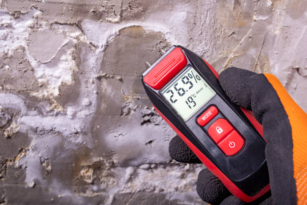 Best Mold Cleaning Services  in Drew, MS
