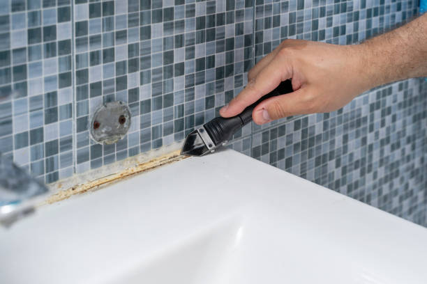 Best Professional Mold Removal  in Drew, MS